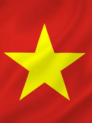 vietnam flag